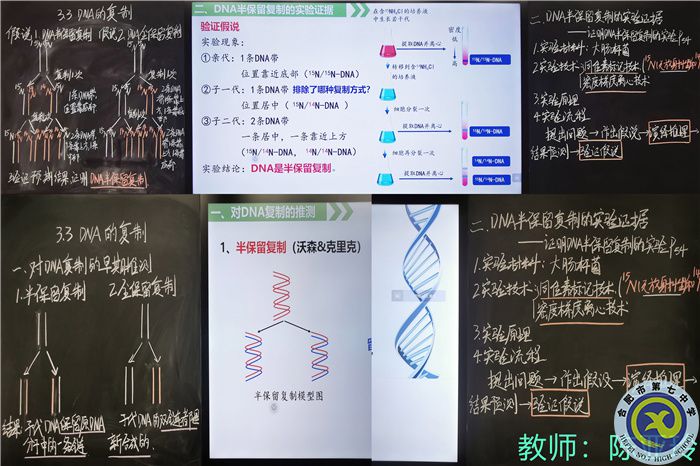 陈亚玲.jpg 陈亚玲.jpg
