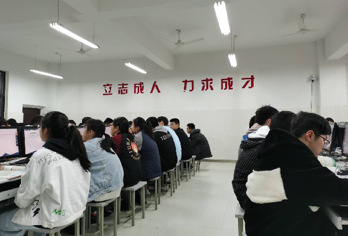 教务处:夯实基础,提升专业能力(图3)
