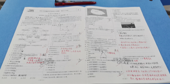 教务处:夯实基础,提升专业能力(图5)