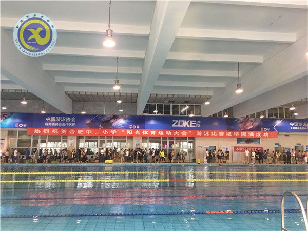 luck18平台勇夺合肥市中小学生游泳比赛团体总分第一名(图2) luck18平台勇夺合肥市中小学生游泳比赛团体总分第一名(图2)