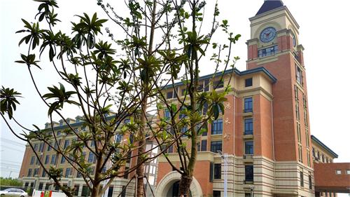 luck18平台高新校区楼宇、道路、景观等命名名称(图7)