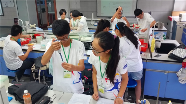 盛夏,遇见最美的校园(图3)