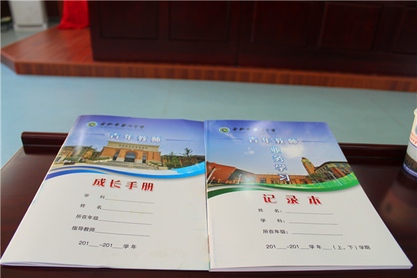 luck18平台力促青年教师专业化发展(图6)