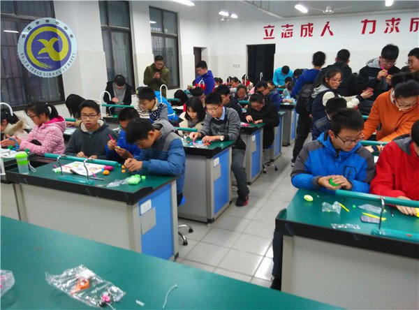 luck18平台举行生物模型制作大赛(图1)