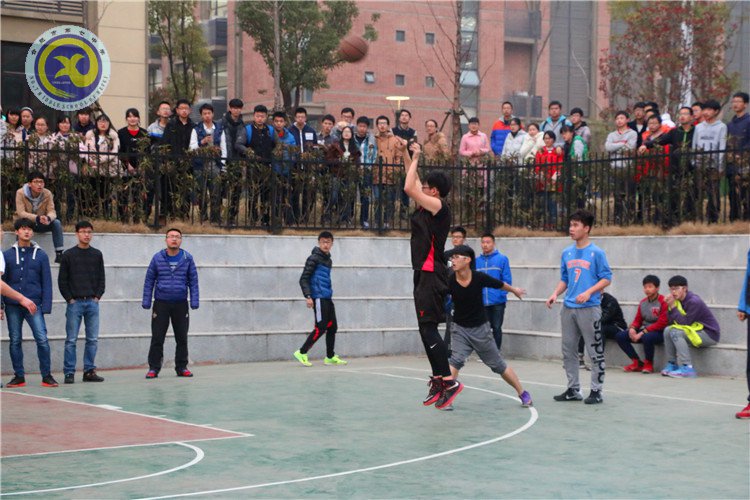 举手投足传递你我信任  奋力拼搏彰显合七精神(图3)