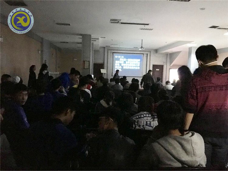 温历史战役，探青檀古木(图1)