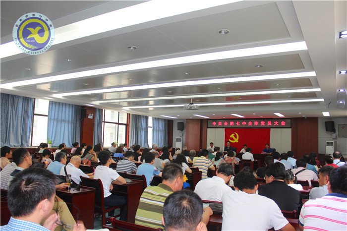 luck18平台党总支升格党委工作圆满完成(图3)