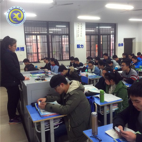 活力与效率共抓  书声在班班飘荡(图1)