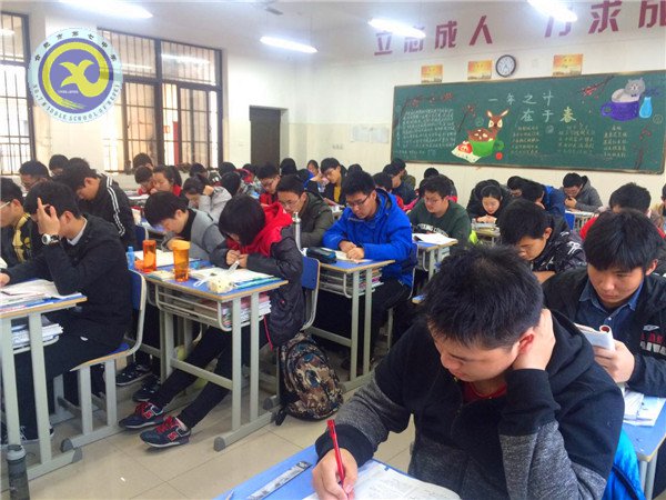 优质高效早读 激发读书热情(图1)