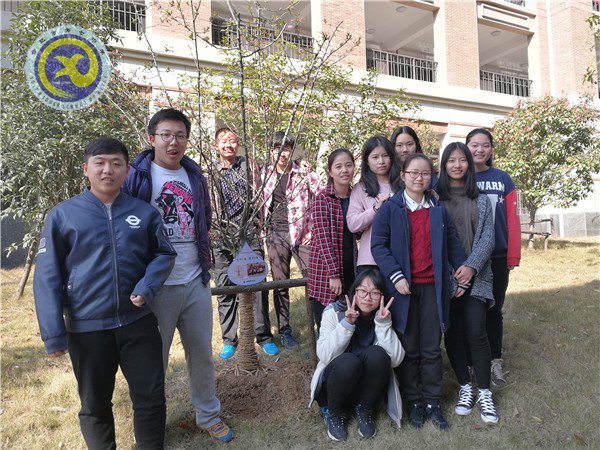 植一片海棠  留年年花香(图1)