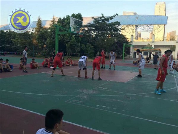 青春因篮球而精彩,生命因体育而辉煌(图4)