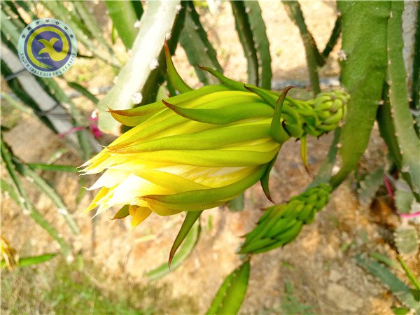 luck18平台第一届生物组教育教学研讨年会顺利召开(图10)