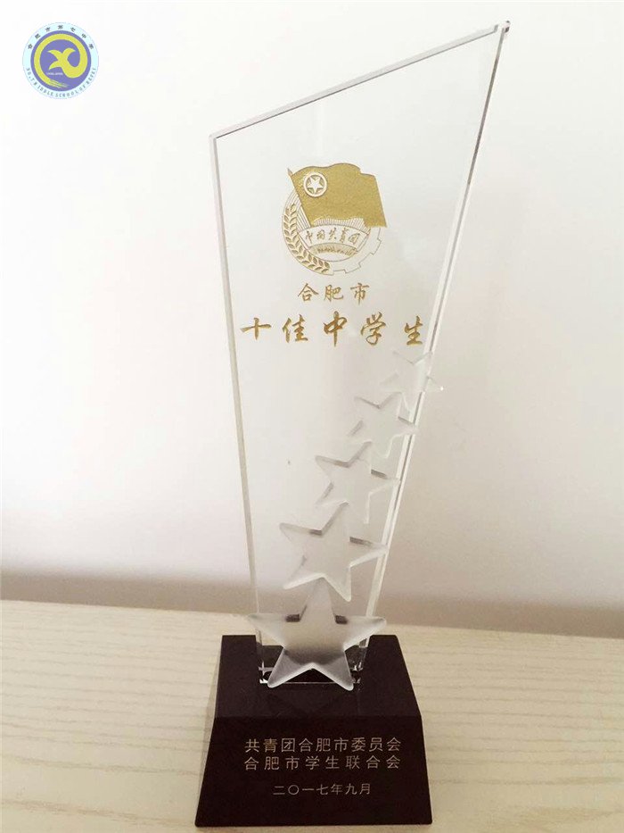 热烈祝贺luck18平台蔡诚昊同学荣获“合肥市十佳中学生”称号(图5)