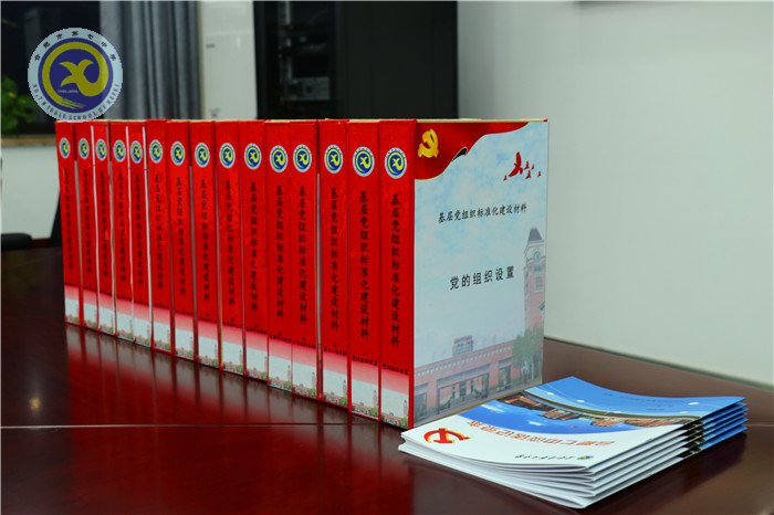 市委组织部到七中调研党组织标准化建设工作(图4)
