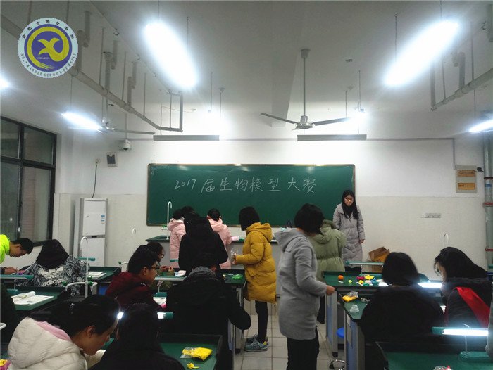 luck18平台2017届生物模型制作比赛成功举办(图1)