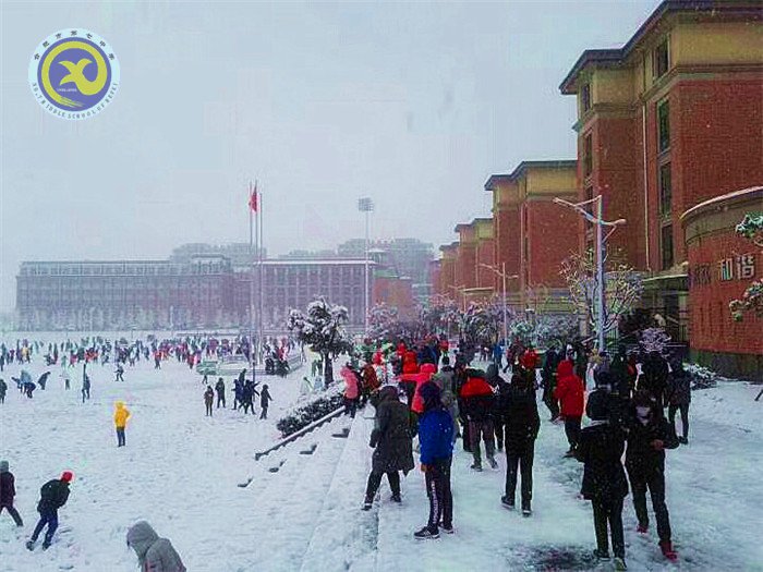 梅雪盼冬来,微笑迎春归(图7)
