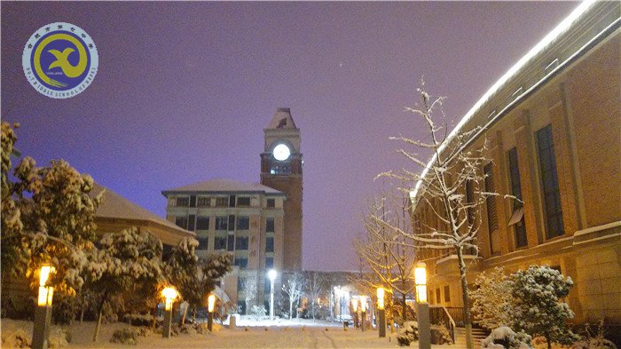 梅雪盼冬来,微笑迎春归(图12)