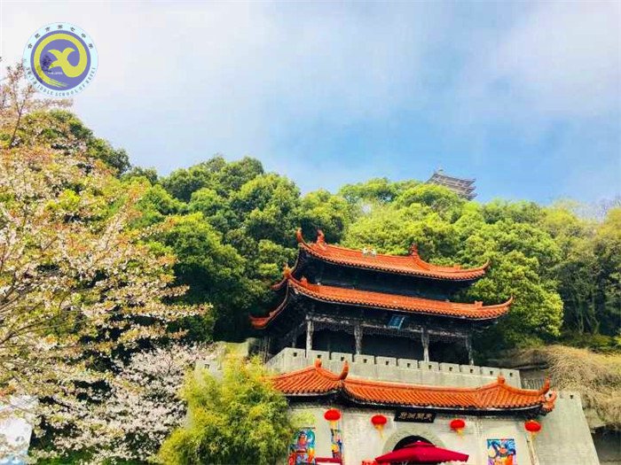 格世间万物,知自然之理(图3)