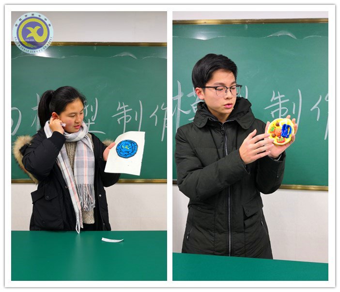 luck18平台2018届生物模型制作比赛成功举办(图3)