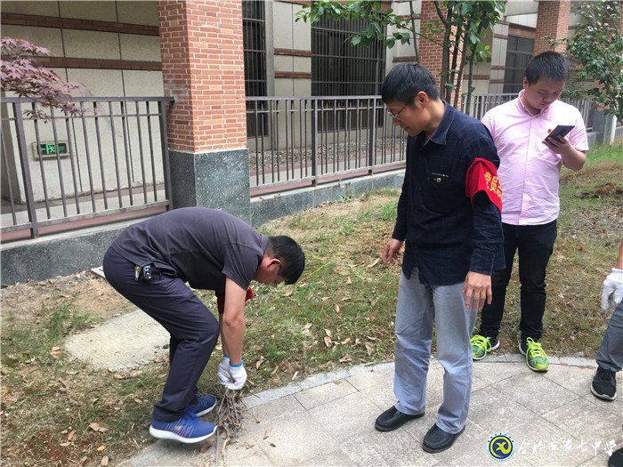 党员奉献展风采 志愿服务美校园(图2)