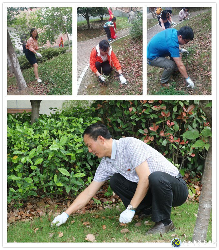 齐心除草整庭院 党领我行再奋进(图2)