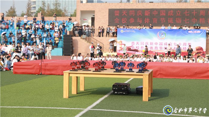 同庆新中国七十华诞 共展体育节运动风采(图16)