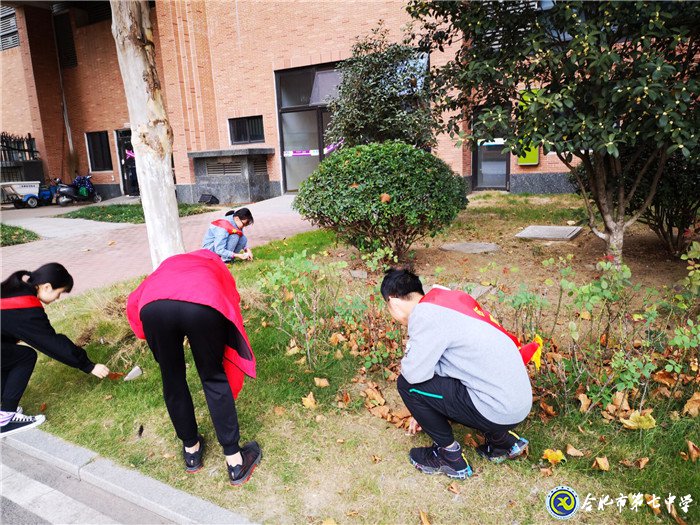 谱七中华章,绽劳动之光(图3)