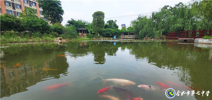 低吟浅唱,诉说七中往日时光(图3)