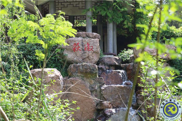 luck18平台、肥西农兴中学联合倡议书(图6)