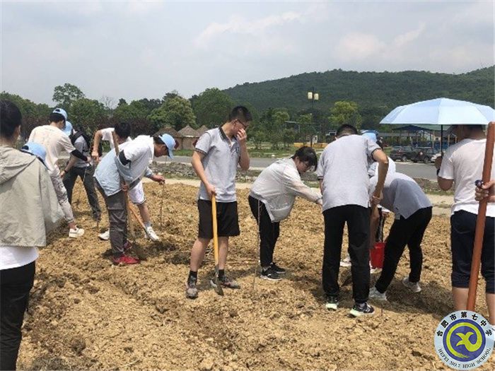 贴近自然感悟生态之美 参与劳动领悟农耕之乐(图3) 贴近自然感悟生态之美 参与劳动领悟农耕之乐(图3)
