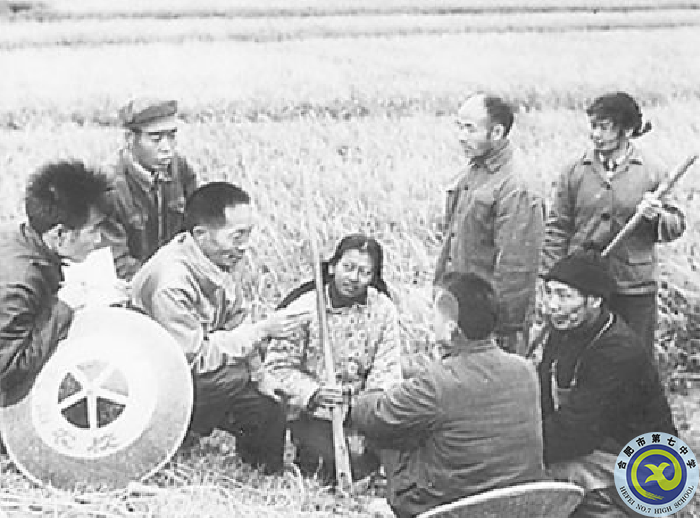 △早期研究阶段,袁隆平(左三)在田间为农民讲课.png △早期研究阶段,袁隆平(左三)在田间为农民讲课.png