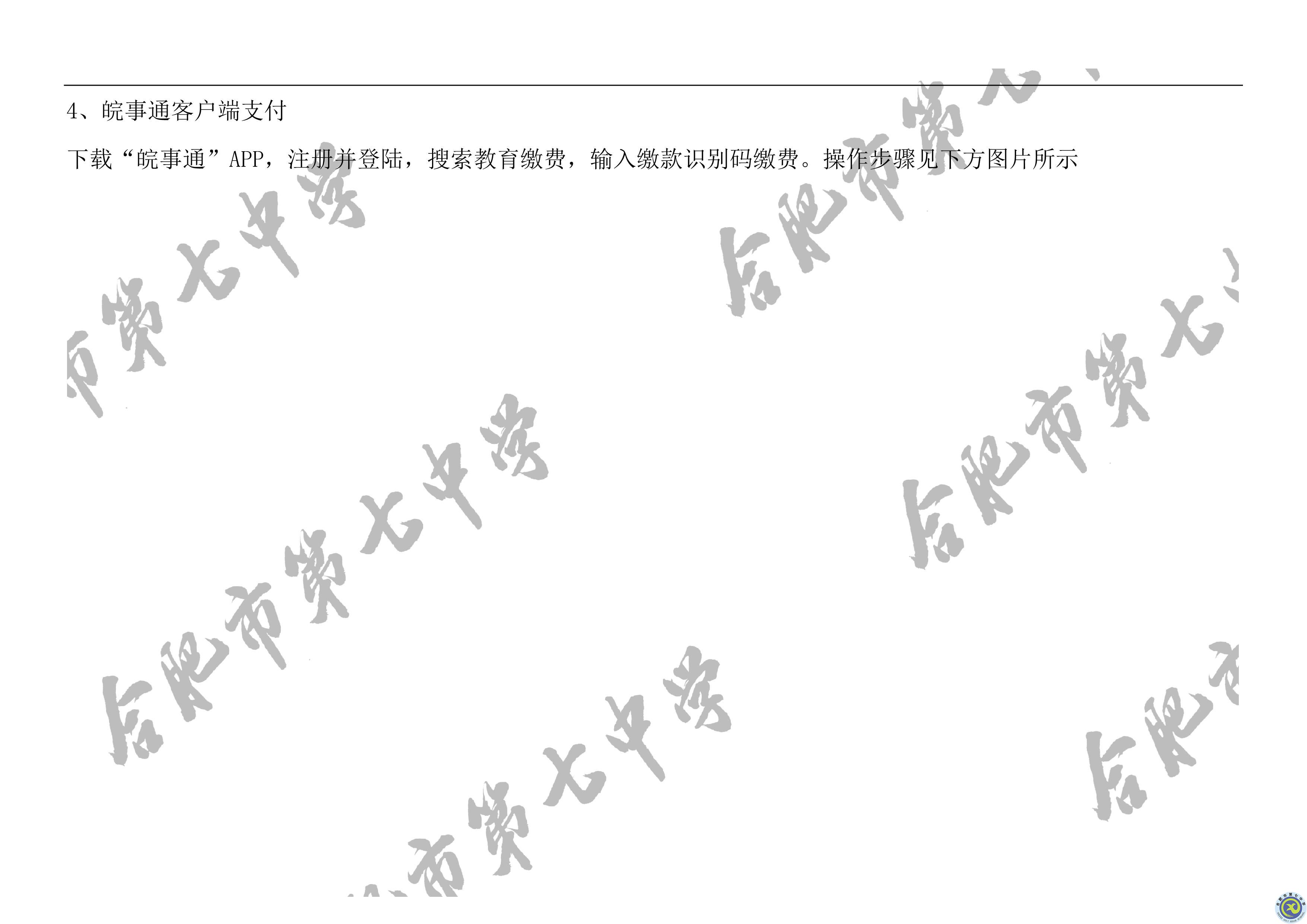 学费缴费方式(图13)