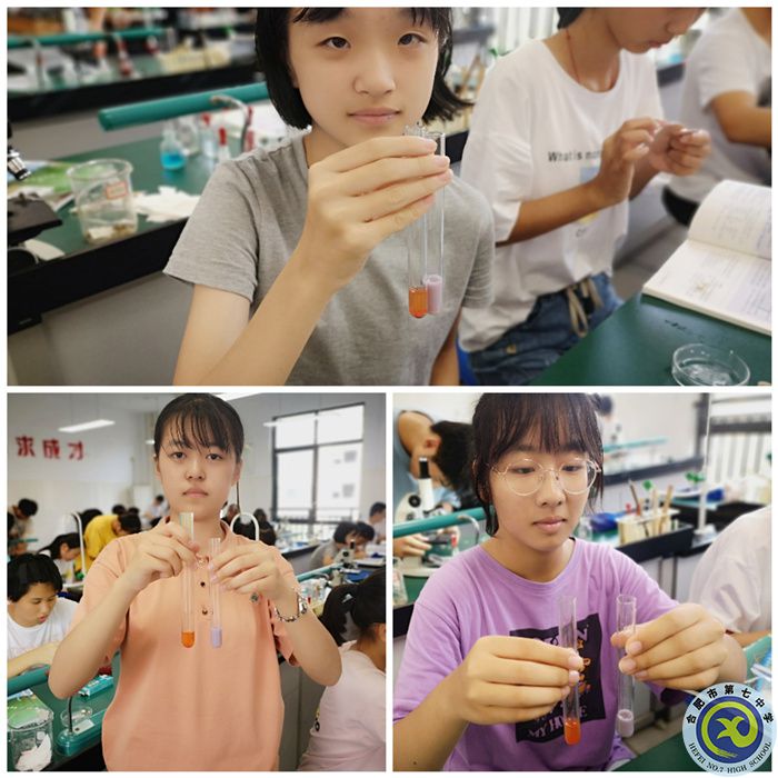 高一学生正在进行生物实验（二）.jpg