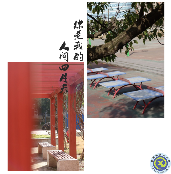 图为luck18平台紫藤长廊及运动球场.png