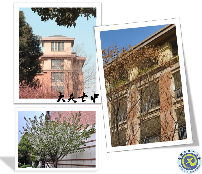 图为luck18平台教学楼风景照.png