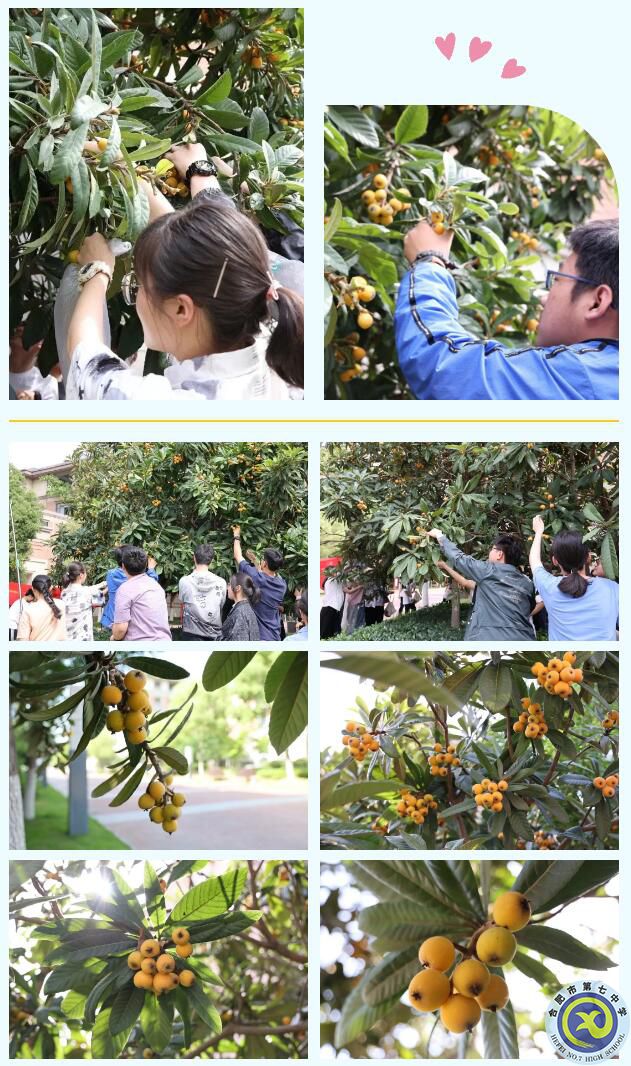 QQ截图20230517165548.jpg QQ截图20230517165548.jpg