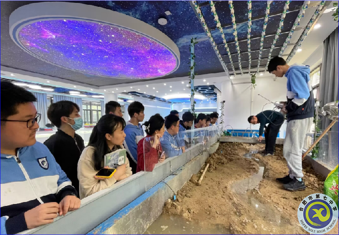 杨会杰老师上课中.png