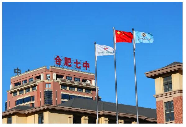 七宝不“脆皮”!与你分享赛场上的这些快乐!(图1) 七宝不“脆皮”!与你分享赛场上的这些快乐!(图1)