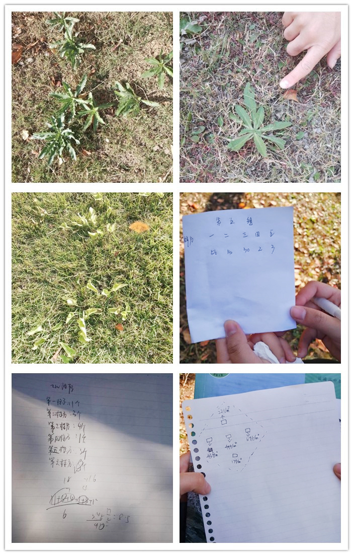 生物学实验_副本.jpg 生物学实验_副本.jpg