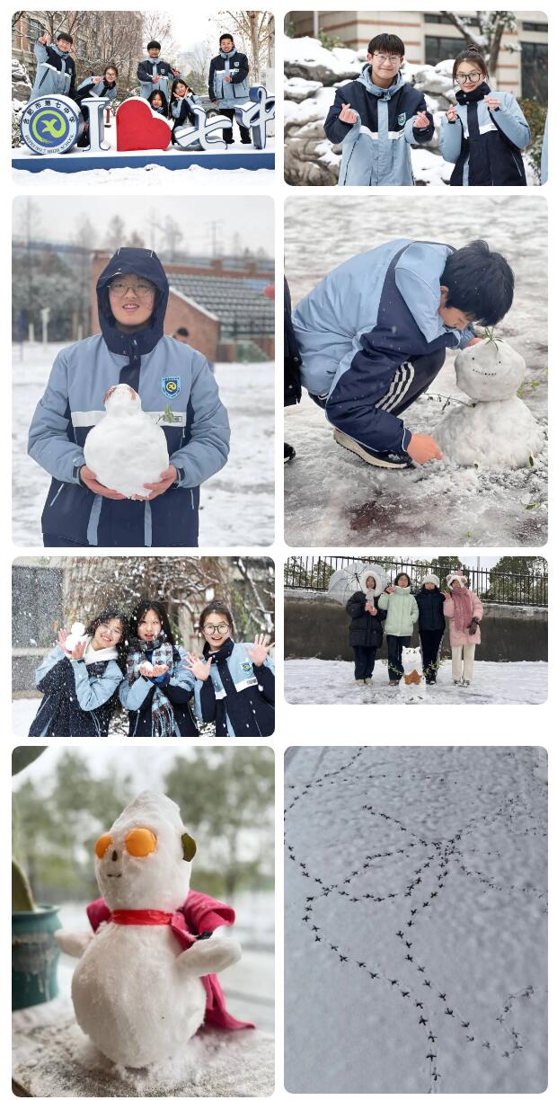 宝藏学校:每个人都期待,雪花所带来的“活泼泼”的生命(图9) 宝藏学校:每个人都期待,雪花所带来的“活泼泼”的生命(图9)