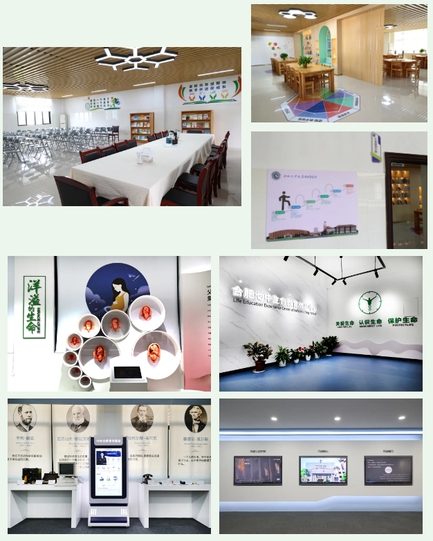 QQ截图20240626094935.png