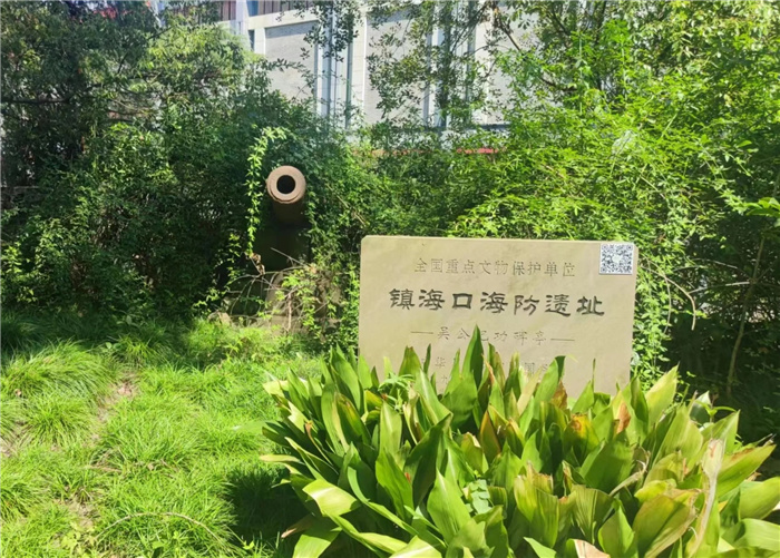 “主动融入长三角，luck18平台这样做”之四：知己不足而后进，望山远岐而前行(图5)
