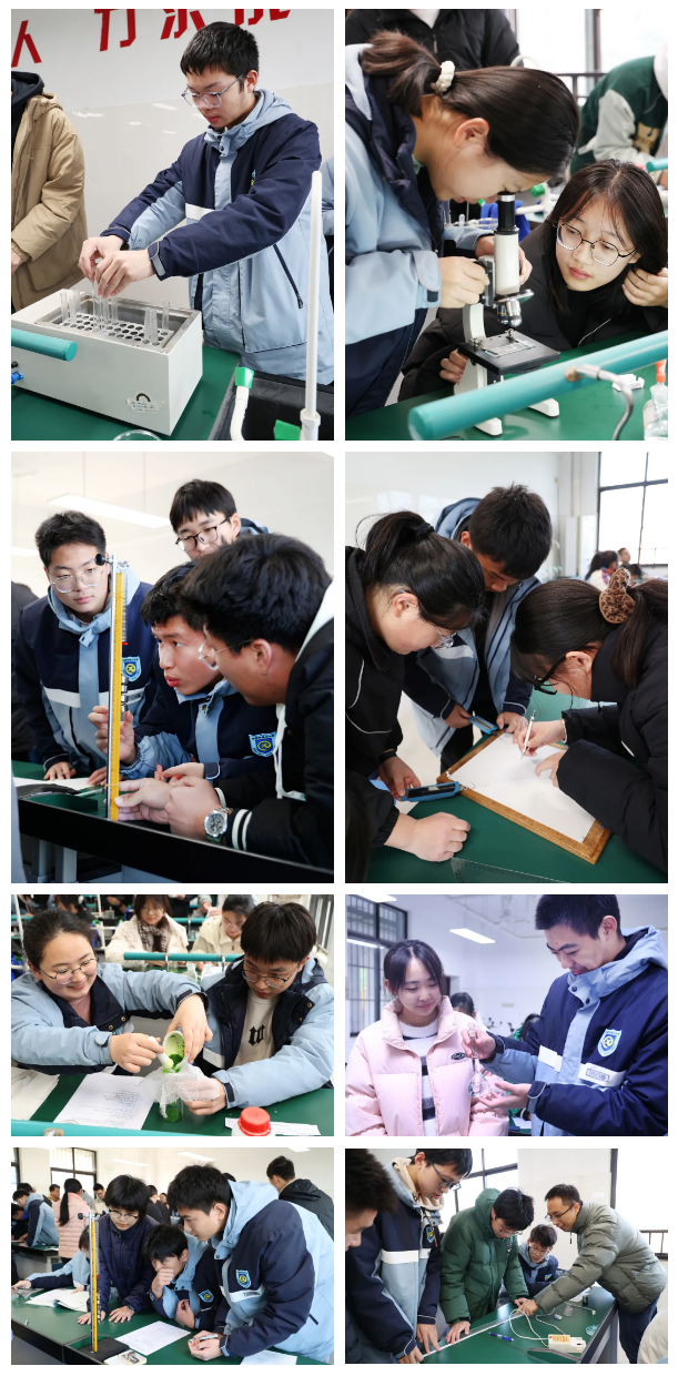 QQ截图20241212155537.png