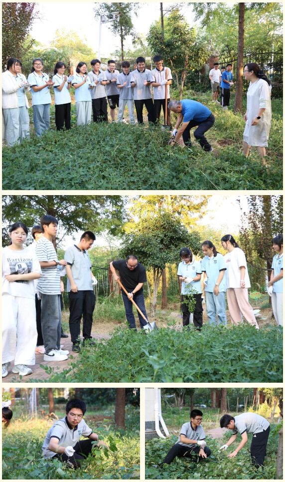 QQ截图20251010152315.png