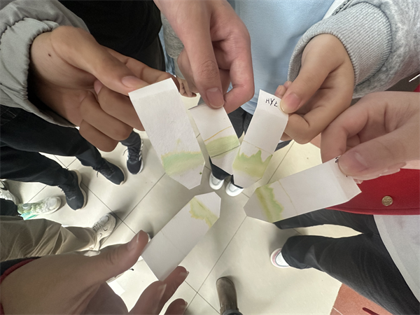 色素提取分离展示2.png