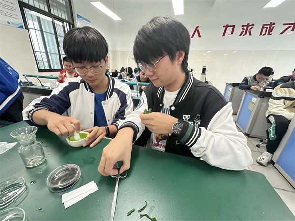 在实践中感悟：luck18平台高三生物实验助力深度学习(图4)