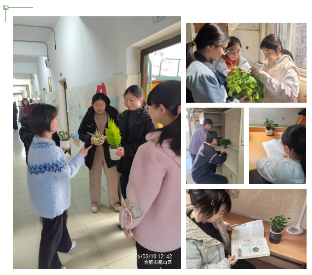 QQ截图20260319091337.png
