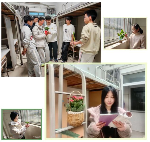 QQ截图20260319091323.png