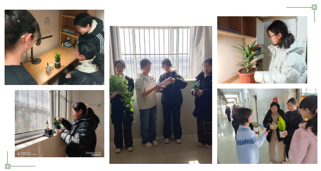 QQ截图20260319091314.png