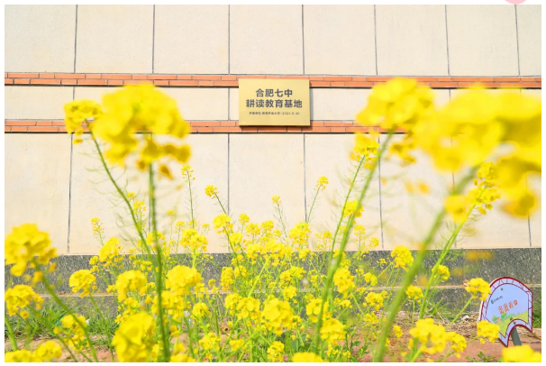 QQ截图20260324173528.png QQ截图20260324173528.png